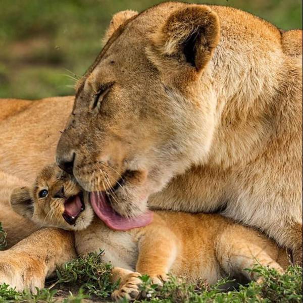 daily picdump 94 pics 1.html - 94 HD Photos | Premium Gallery 2017
