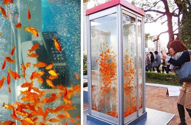 daily picdump 94 pics 1.html - 94 HD Photos | Premium Gallery 2017