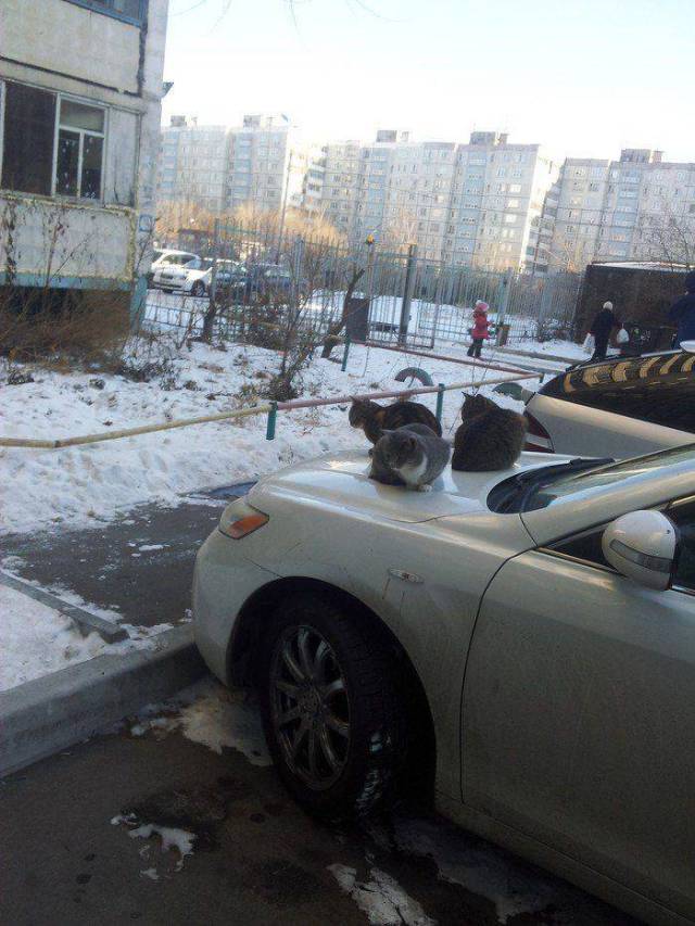 daily picdump 94 pics 1.html - 94 HD Photos | Premium Gallery 2017