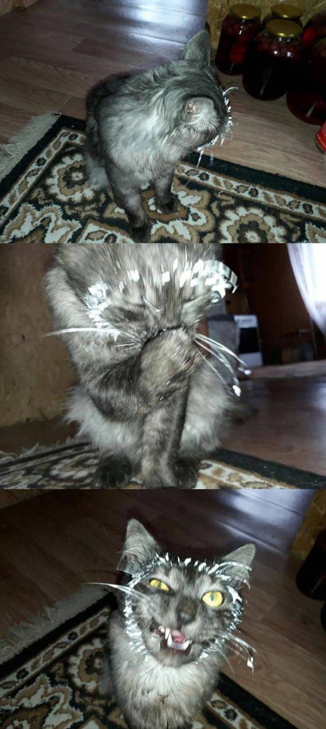 daily picdump 94 pics 1.html - 94 HD Photos | Premium Gallery 2017