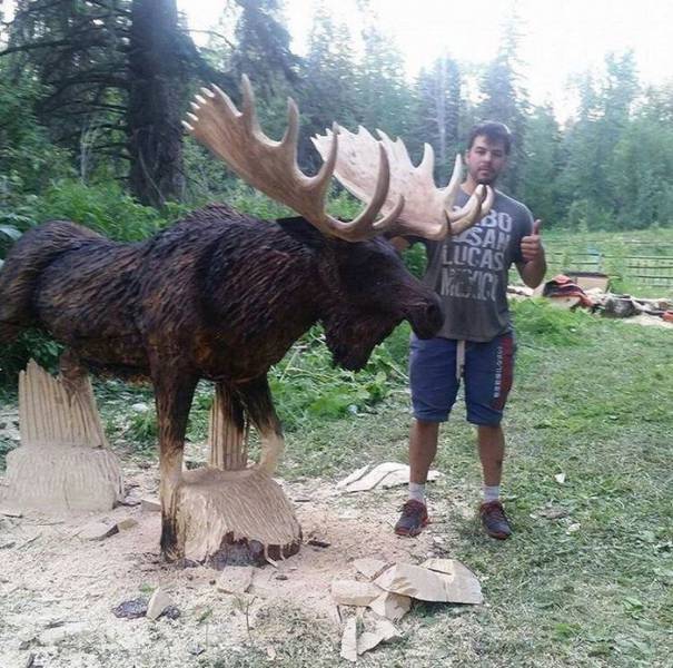 Morning Picdump