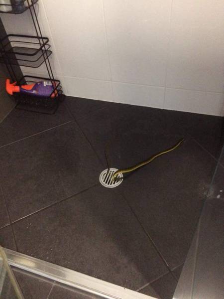 Morning Picdump