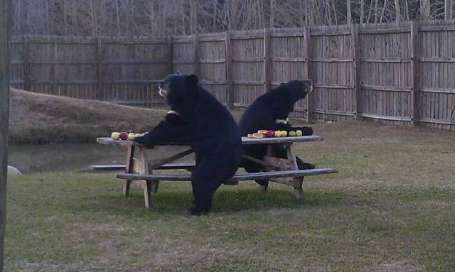 morning picdump 51 pics 22.html - 51 HD Photos | Premium Gallery 2017