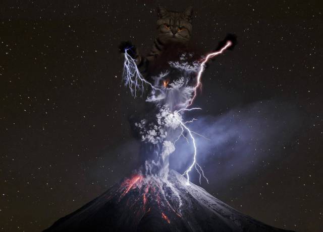 daily picdump 91 pics 25.html - 91 HD Photos | Premium Gallery 2017