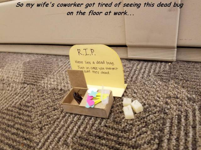 daily picdump 91 pics 25.html - 91 HD Photos | Premium Gallery 2017