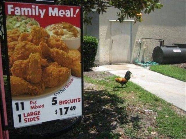 daily picdump 91 pics 25.html - 91 HD Photos | Premium Gallery 2017