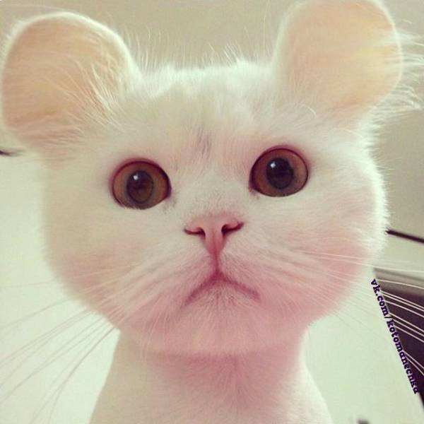 daily picdump 91 pics 25.html - 91 HD Photos | Premium Gallery 2017