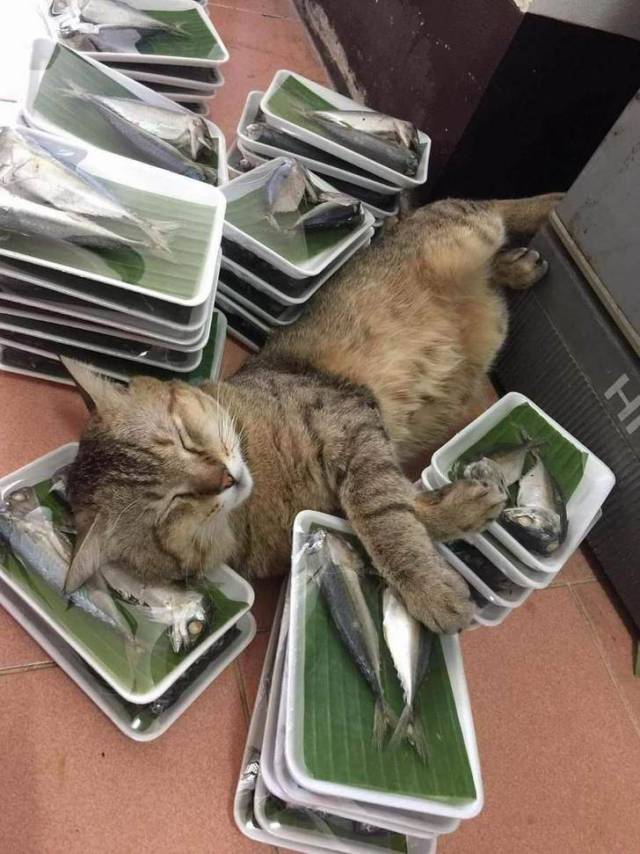 daily picdump 91 pics 25.html - 91 HD Photos | Premium Gallery 2017