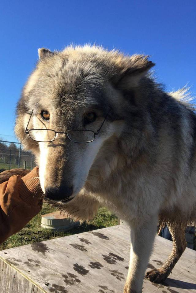 daily picdump 91 pics 25.html - 91 HD Photos | Premium Gallery 2017