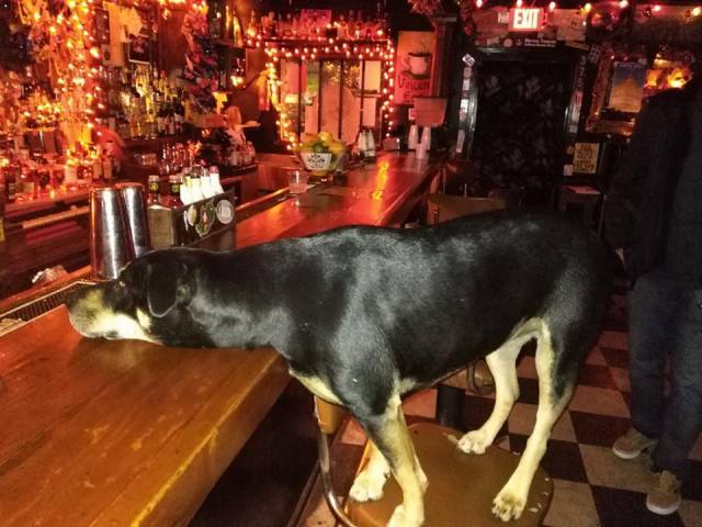 morning picdump 50 pics 13.html - 50 HD Photos | Premium Gallery 2017