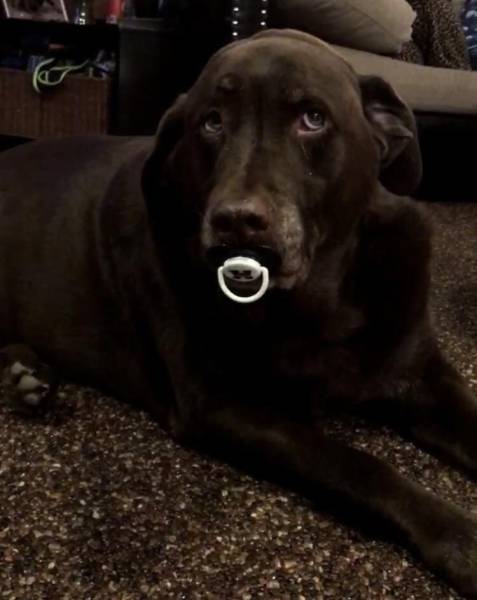 morning picdump 50 pics 13.html - 50 HD Photos | Premium Gallery 2017