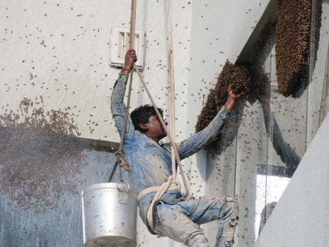 morning picdump 50 pics 13.html - 50 HD Photos | Premium Gallery 2017