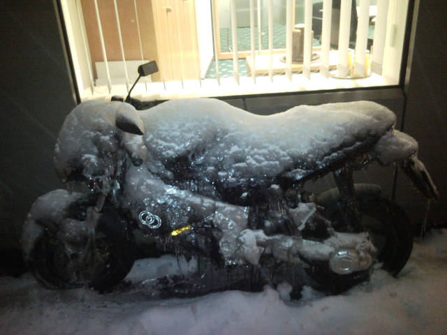 morning picdump 50 pics 13.html - 50 HD Photos | Premium Gallery 2017