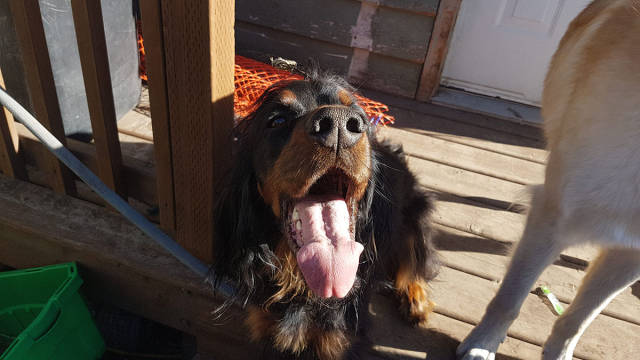 morning picdump 50 pics 13.html - 50 HD Photos | Premium Gallery 2017