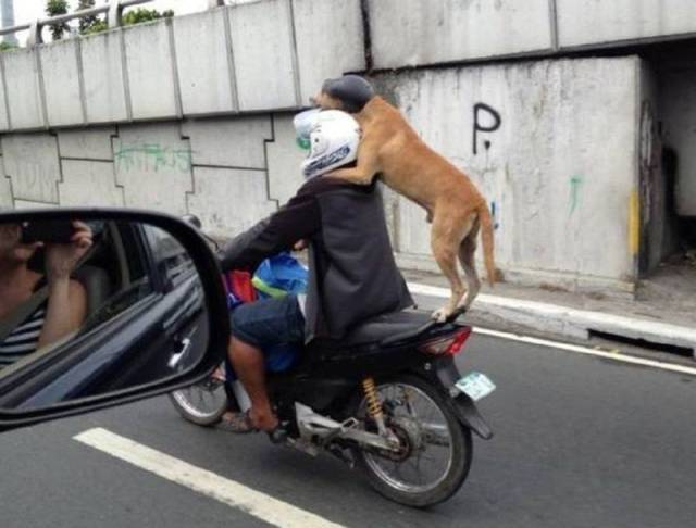 Daily Picdump