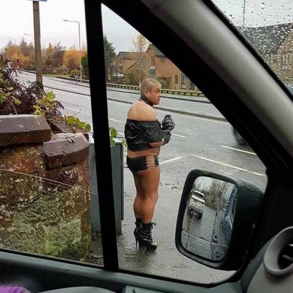 Daily Picdump
