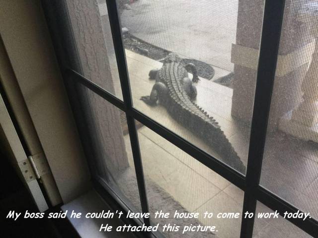 daily picdump 96 pics 4.html - 96 HD Photos | Premium Gallery 2017