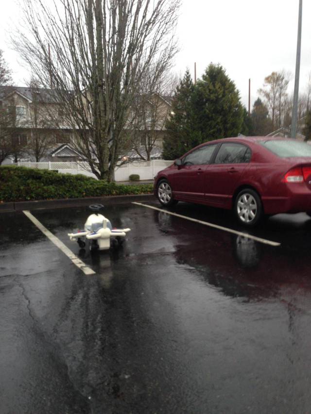 Daily Picdump