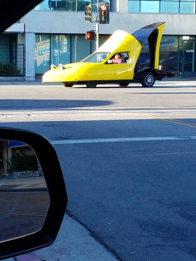 Daily Picdump