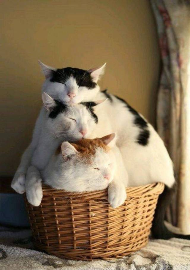 daily picdump 96 pics 4.html - 96 HD Photos | Premium Gallery 2017