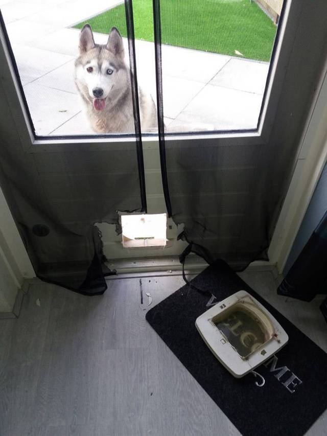 daily picdump 96 pics 4.html - 96 HD Photos | Premium Gallery 2017