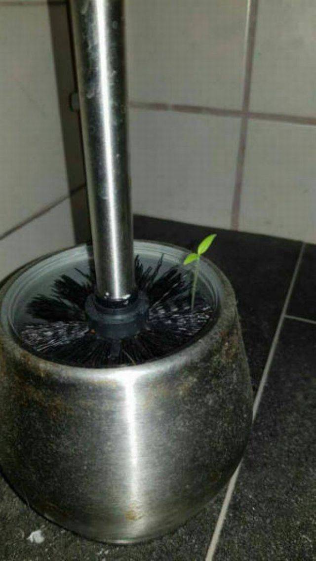 daily picdump 96 pics 4.html - 96 HD Photos | Premium Gallery 2017
