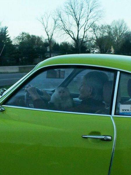 morning picdump 49 pics 5.html - 49 HD Photos | Premium Gallery 2017