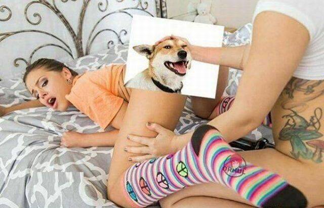 grownup corner 60 pics 9 gifs 28.html - 60 HD GIF | Premium Gallery 2017