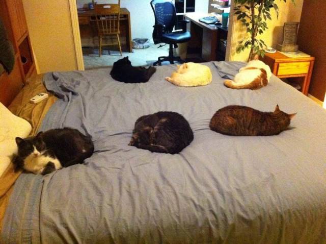 Daily Picdump [WEEKEND EDITION]