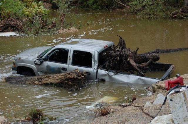 Daily Picdump [WEEKEND EDITION]