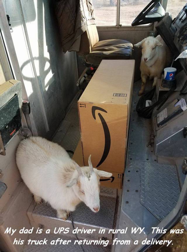 Daily Picdump [WEEKEND EDITION]