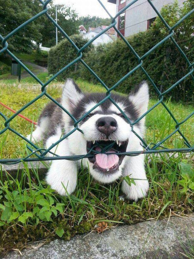 Daily Picdump [WEEKEND EDITION]