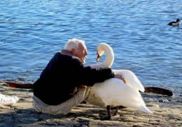 daily picdump 93 pics 35.html - 93 HD Photos | Premium Gallery 2017