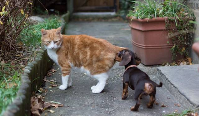 daily picdump 93 pics 35.html - 93 HD Photos | Premium Gallery 2017