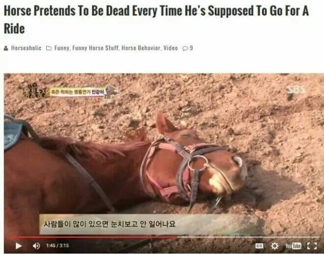 daily picdump 93 pics 35.html - 93 HD Photos | Premium Gallery 2017