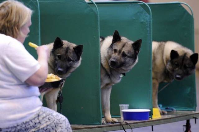 Jealousy Is Too Obvious Here