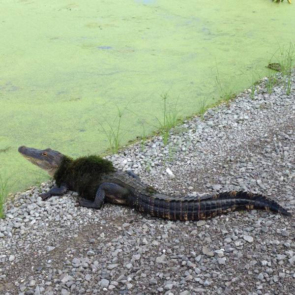 morning picdump 52 pics 18.html - 52 HD Photos | Premium Gallery 2017