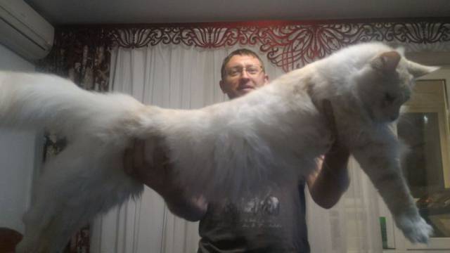 daily picdump 97 pics 9.html - 97 HD Photos | Premium Gallery 2017