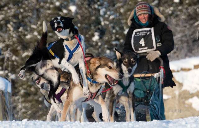 daily picdump 97 pics 9.html - 97 HD Photos | Premium Gallery 2017