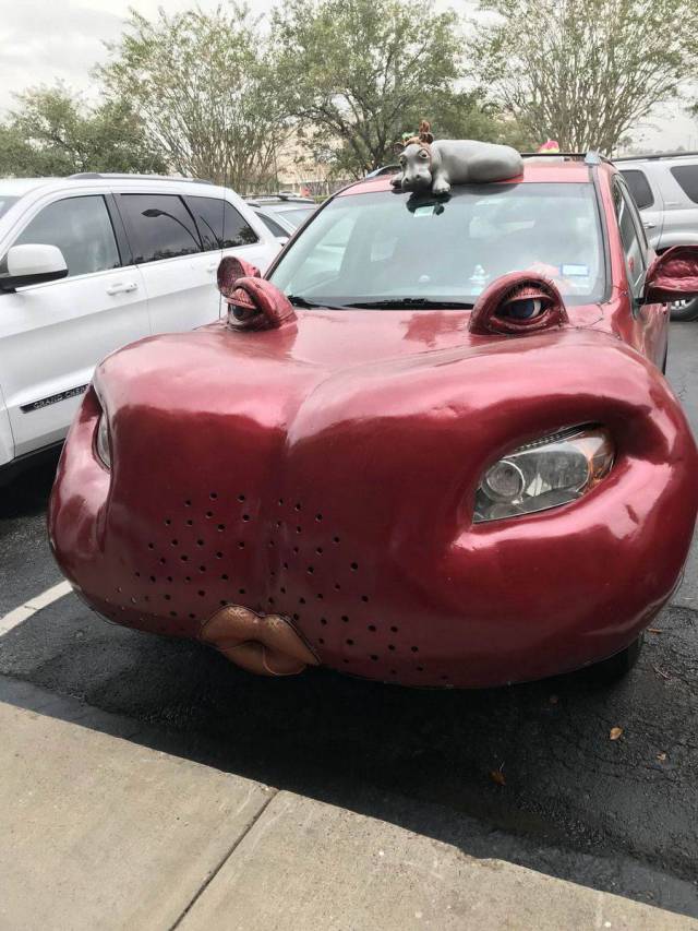 daily picdump 97 pics 9.html - 97 HD Photos | Premium Gallery 2017