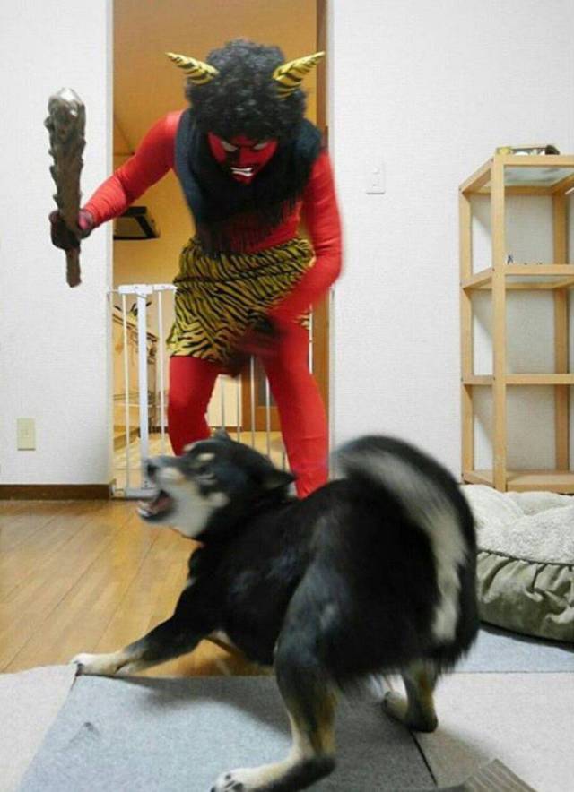 daily picdump 97 pics 9.html - 97 HD Photos | Premium Gallery 2017