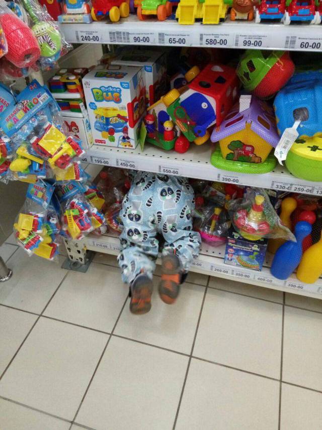 daily picdump 97 pics 9.html - 97 HD Photos | Premium Gallery 2017