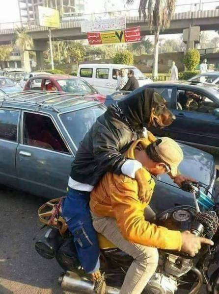 morning picdump 51 pics 25.html - 51 HD Photos | Premium Gallery 2017