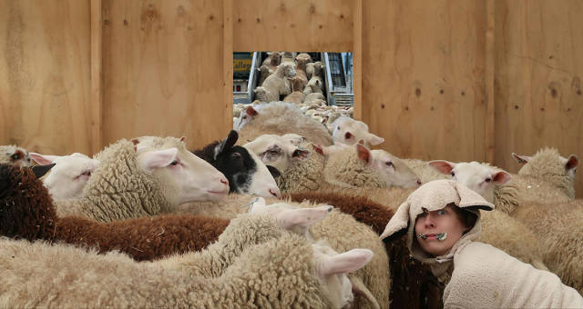 morning picdump 51 pics 25.html - 51 HD Photos | Premium Gallery 2017