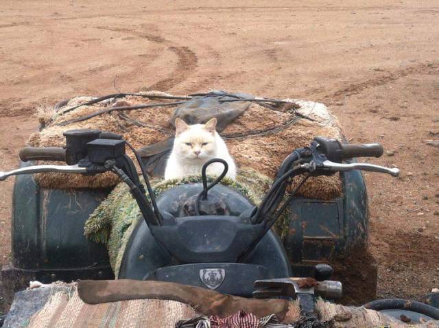 morning picdump 51 pics 25.html - 51 HD Photos | Premium Gallery 2017