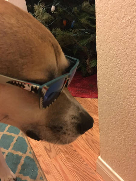 Morning Picdump