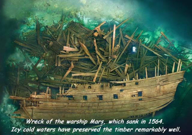 daily picdump 88 pics 3.html - 88 HD Photos | Premium Gallery 2017