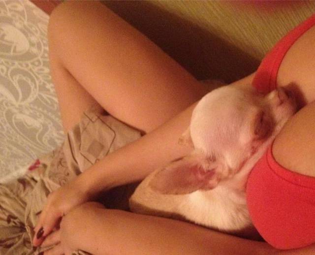 daily picdump 88 pics 3.html - 88 HD Photos | Premium Gallery 2017