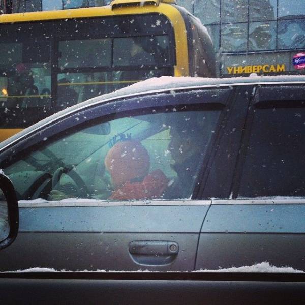 daily picdump 88 pics 3.html - 88 HD Photos | Premium Gallery 2017