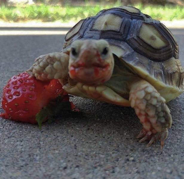 daily picdump 88 pics 3.html - 88 HD Photos | Premium Gallery 2017